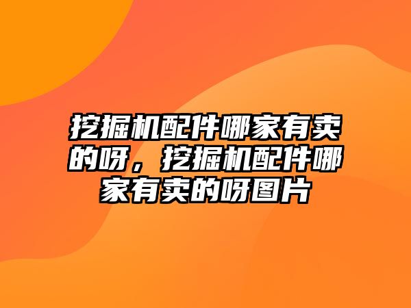 挖掘機配件哪家有賣的呀，挖掘機配件哪家有賣的呀圖片