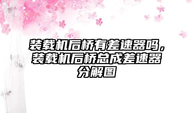 裝載機后橋有差速器嗎，裝載機后橋總成差速器分解圖