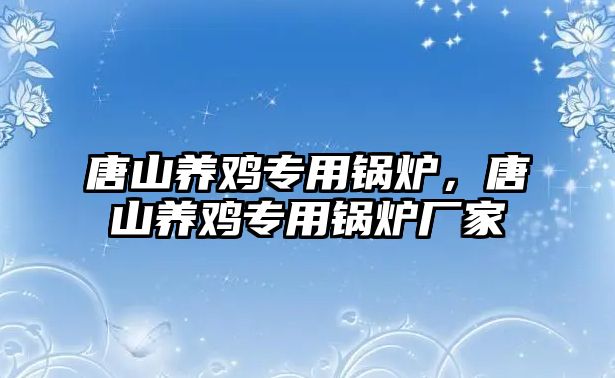 唐山養(yǎng)雞專用鍋爐，唐山養(yǎng)雞專用鍋爐廠家