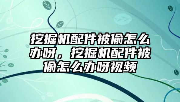 挖掘機(jī)配件被偷怎么辦呀，挖掘機(jī)配件被偷怎么辦呀視頻