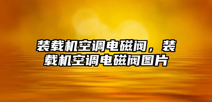 裝載機(jī)空調(diào)電磁閥，裝載機(jī)空調(diào)電磁閥圖片