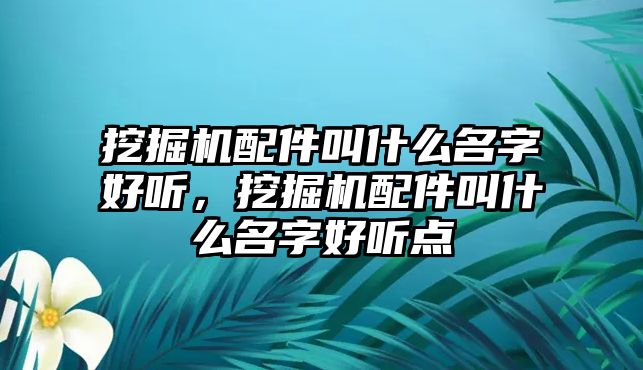 挖掘機配件叫什么名字好聽，挖掘機配件叫什么名字好聽點