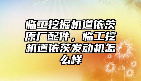 臨工挖掘機道依茨原廠配件，臨工挖機道依茨發(fā)動機怎么樣