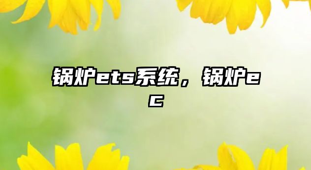 鍋爐ets系統(tǒng)，鍋爐ec