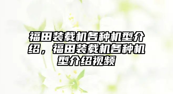 福田裝載機(jī)各種機(jī)型介紹，福田裝載機(jī)各種機(jī)型介紹視頻