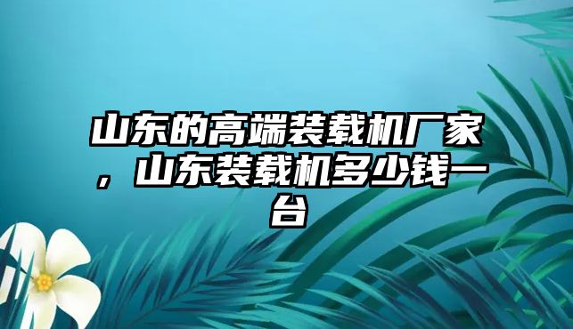 山東的高端裝載機廠家，山東裝載機多少錢一臺