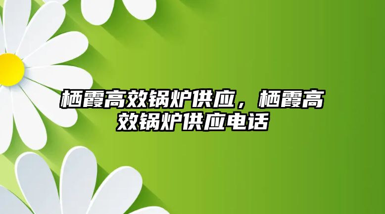 棲霞高效鍋爐供應(yīng)，棲霞高效鍋爐供應(yīng)電話