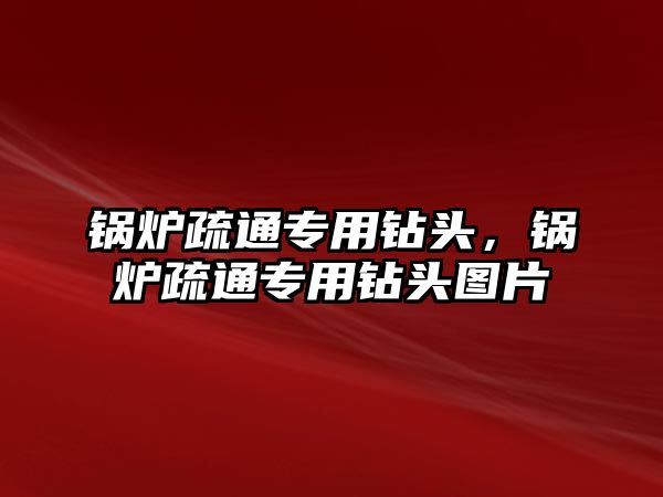 鍋爐疏通專用鉆頭，鍋爐疏通專用鉆頭圖片