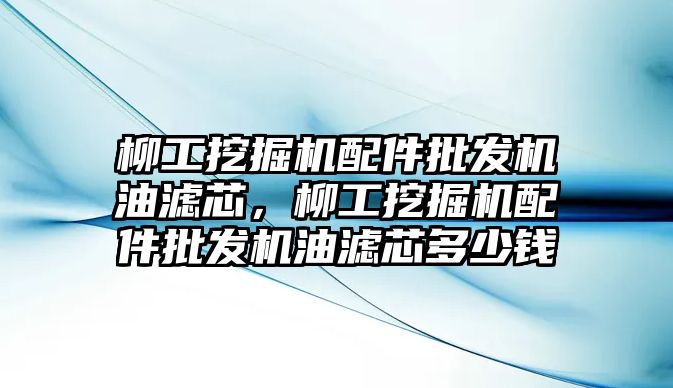 柳工挖掘機配件批發(fā)機油濾芯，柳工挖掘機配件批發(fā)機油濾芯多少錢