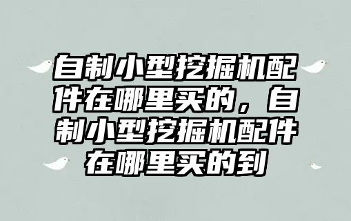 自制小型挖掘機配件在哪里買的，自制小型挖掘機配件在哪里買的到