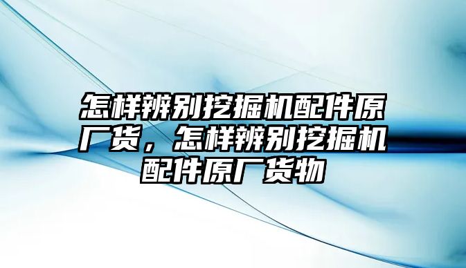 怎樣辨別挖掘機(jī)配件原廠貨，怎樣辨別挖掘機(jī)配件原廠貨物