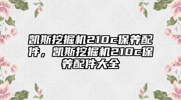 凱斯挖掘機(jī)210c保養(yǎng)配件，凱斯挖掘機(jī)210c保養(yǎng)配件大全