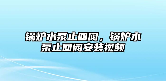 鍋爐水泵止回閥，鍋爐水泵止回閥安裝視頻