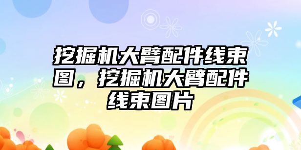 挖掘機大臂配件線束圖，挖掘機大臂配件線束圖片