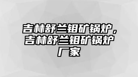 吉林舒蘭鉬礦鍋爐，吉林舒蘭鉬礦鍋爐廠家