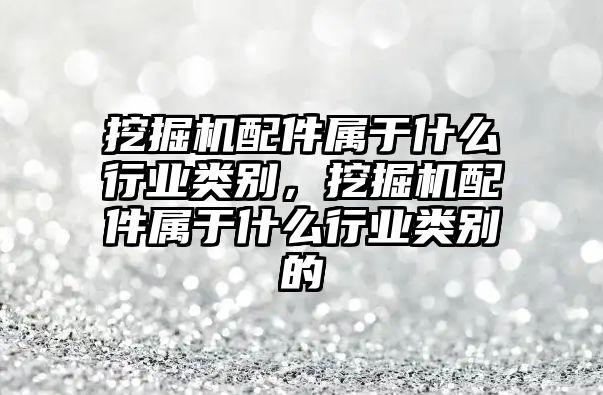 挖掘機(jī)配件屬于什么行業(yè)類(lèi)別，挖掘機(jī)配件屬于什么行業(yè)類(lèi)別的