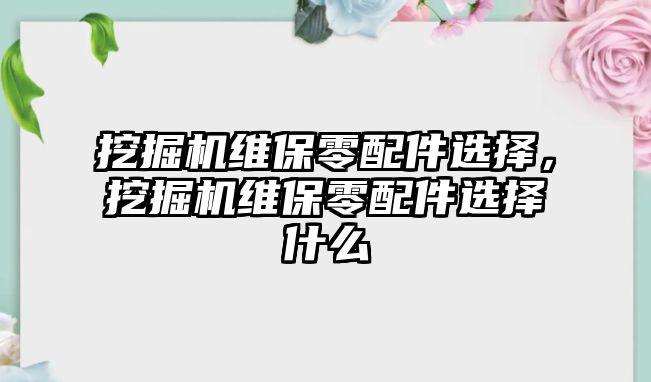 挖掘機維保零配件選擇，挖掘機維保零配件選擇什么