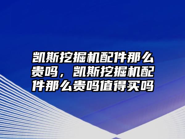 凱斯挖掘機(jī)配件那么貴嗎，凱斯挖掘機(jī)配件那么貴嗎值得買嗎