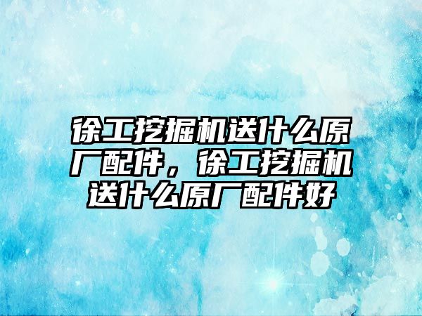 徐工挖掘機送什么原廠配件，徐工挖掘機送什么原廠配件好