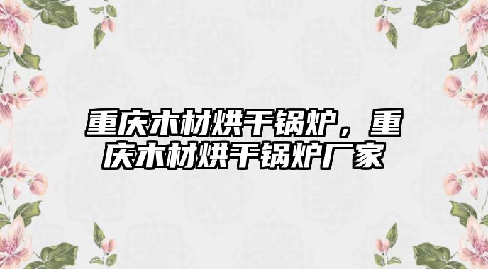 重慶木材烘干鍋爐，重慶木材烘干鍋爐廠家