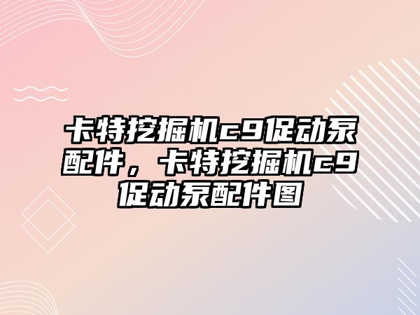 卡特挖掘機c9促動泵配件，卡特挖掘機c9促動泵配件圖