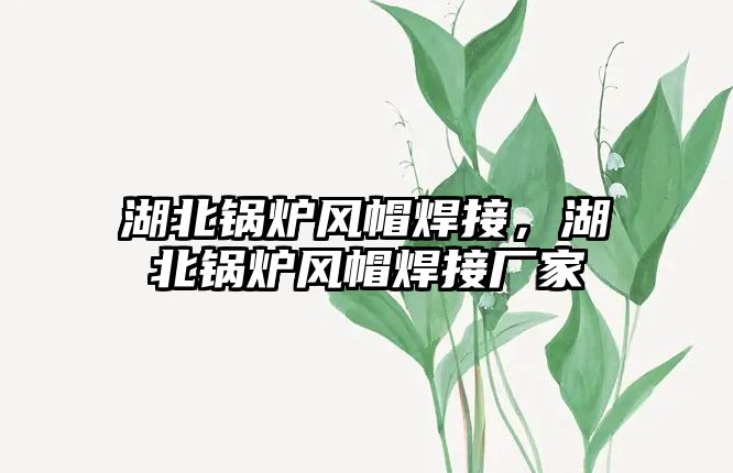 湖北鍋爐風(fēng)帽焊接，湖北鍋爐風(fēng)帽焊接廠家