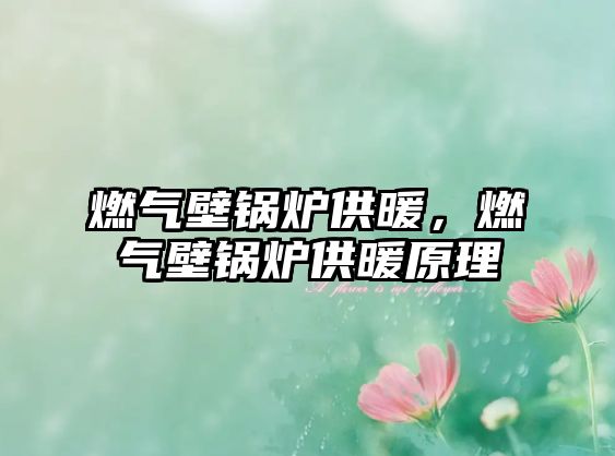 燃氣壁鍋爐供暖，燃氣壁鍋爐供暖原理