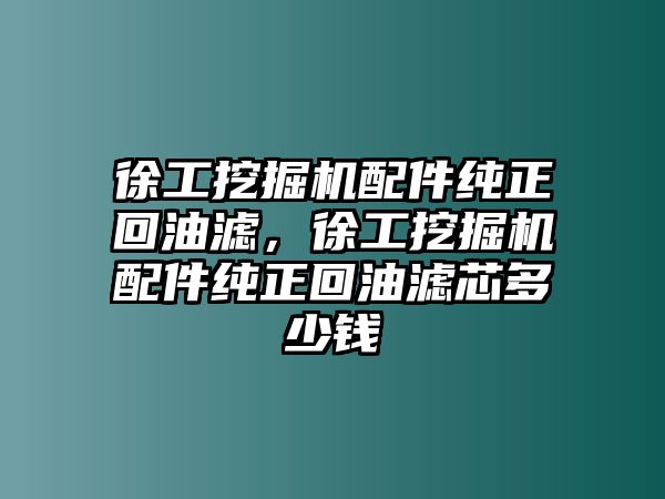 徐工挖掘機(jī)配件純正回油濾，徐工挖掘機(jī)配件純正回油濾芯多少錢