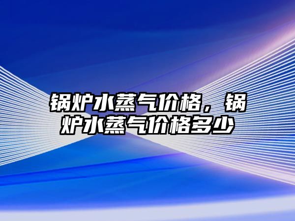 鍋爐水蒸氣價格，鍋爐水蒸氣價格多少