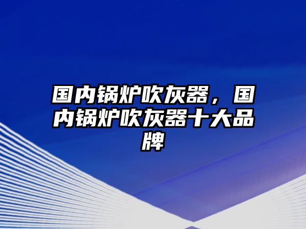 國內(nèi)鍋爐吹灰器，國內(nèi)鍋爐吹灰器十大品牌