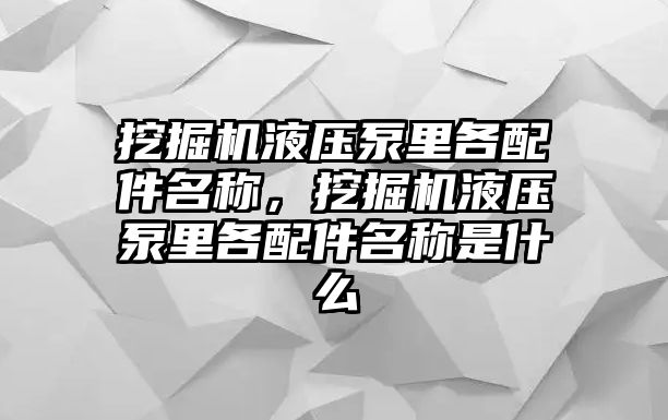 挖掘機(jī)液壓泵里各配件名稱，挖掘機(jī)液壓泵里各配件名稱是什么