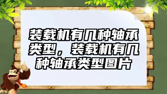 裝載機(jī)有幾種軸承類(lèi)型，裝載機(jī)有幾種軸承類(lèi)型圖片