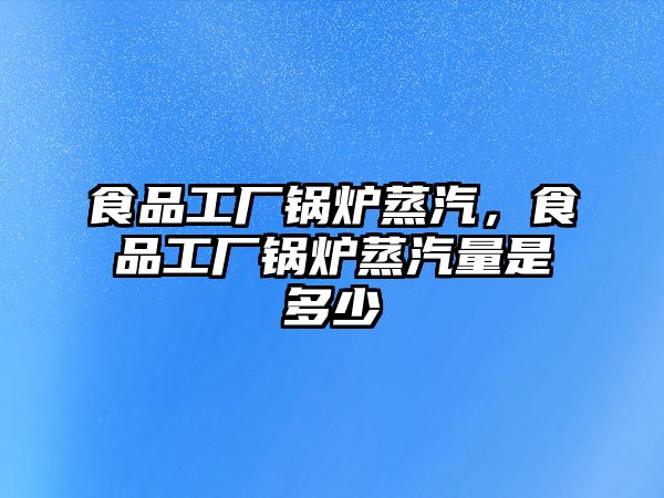 食品工廠鍋爐蒸汽，食品工廠鍋爐蒸汽量是多少