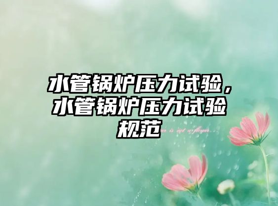 水管鍋爐壓力試驗，水管鍋爐壓力試驗規(guī)范