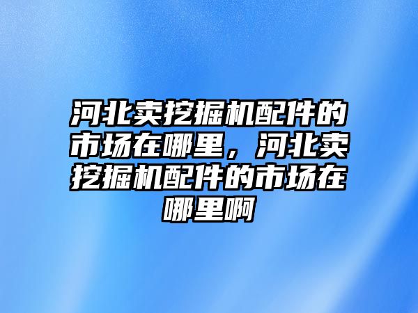 河北賣挖掘機(jī)配件的市場(chǎng)在哪里，河北賣挖掘機(jī)配件的市場(chǎng)在哪里啊