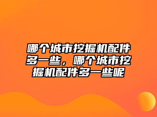 哪個城市挖掘機配件多一些，哪個城市挖掘機配件多一些呢