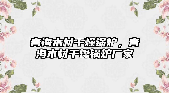 青海木材干燥鍋爐，青海木材干燥鍋爐廠家