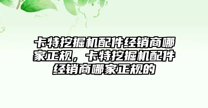 卡特挖掘機(jī)配件經(jīng)銷商哪家正規(guī)，卡特挖掘機(jī)配件經(jīng)銷商哪家正規(guī)的