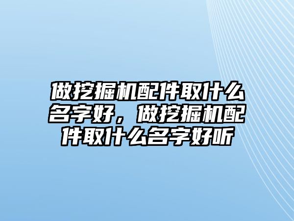 做挖掘機配件取什么名字好，做挖掘機配件取什么名字好聽