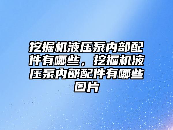 挖掘機液壓泵內(nèi)部配件有哪些，挖掘機液壓泵內(nèi)部配件有哪些圖片