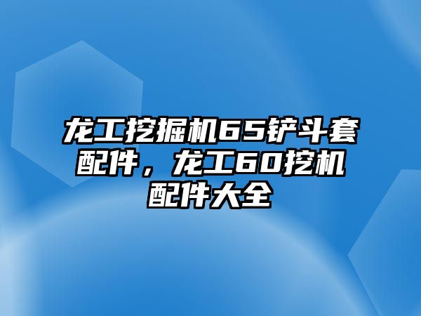 龍工挖掘機(jī)65鏟斗套配件，龍工60挖機(jī)配件大全