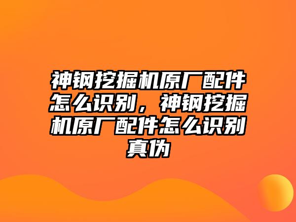 神鋼挖掘機(jī)原廠配件怎么識(shí)別，神鋼挖掘機(jī)原廠配件怎么識(shí)別真?zhèn)?/>	
								</i>
								<p class=