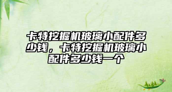 卡特挖掘機玻璃小配件多少錢，卡特挖掘機玻璃小配件多少錢一個