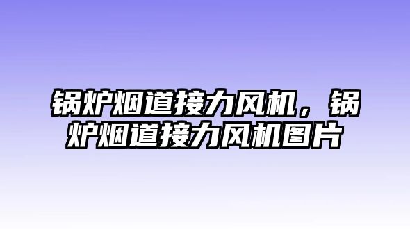 鍋爐煙道接力風(fēng)機(jī)，鍋爐煙道接力風(fēng)機(jī)圖片