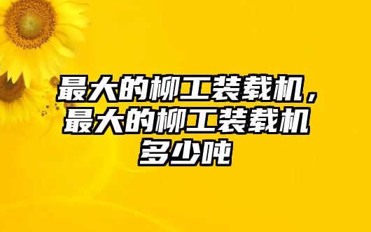 最大的柳工裝載機，最大的柳工裝載機多少噸