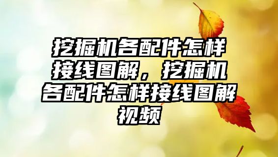 挖掘機各配件怎樣接線圖解，挖掘機各配件怎樣接線圖解視頻