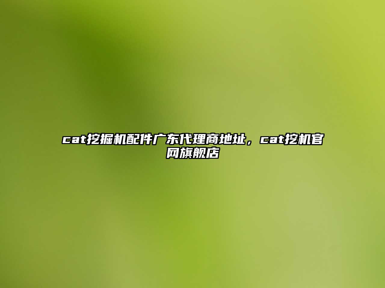 cat挖掘機配件廣東代理商地址，cat挖機官網(wǎng)旗艦店