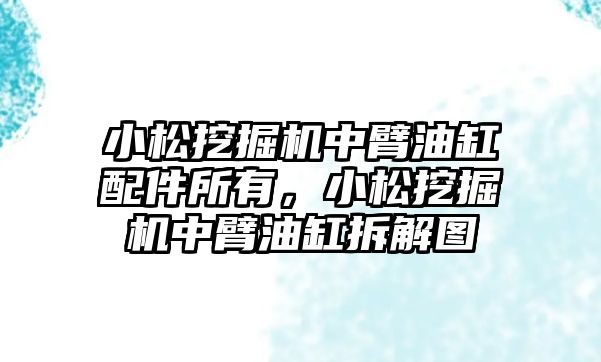 小松挖掘機中臂油缸配件所有，小松挖掘機中臂油缸拆解圖