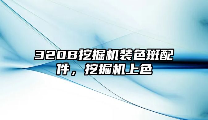 320B挖掘機裝色斑配件，挖掘機上色