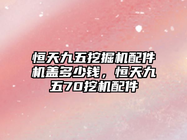 恒天九五挖掘機(jī)配件機(jī)蓋多少錢，恒天九五70挖機(jī)配件